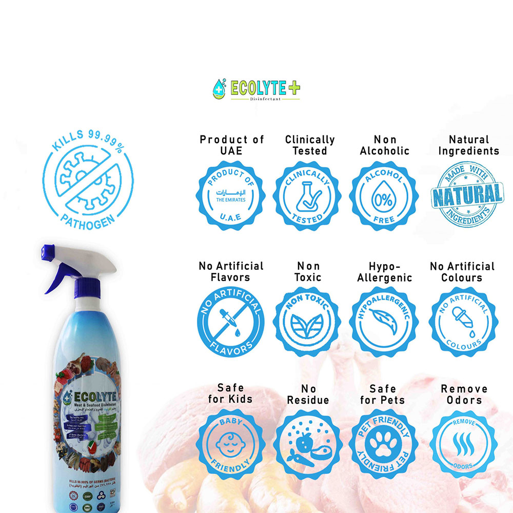 Ecolyte Meat & Seafood Disinfectant 1 Litre Pack of 24Pcs I 100% Natural Action, Removes Pesticides & 99.9% Germs With Pure Electrolyzed Water, Safe to Use on Meat & Seafood, Nontoxic and Nonalcoholic.